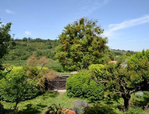 Putting your property up for sale